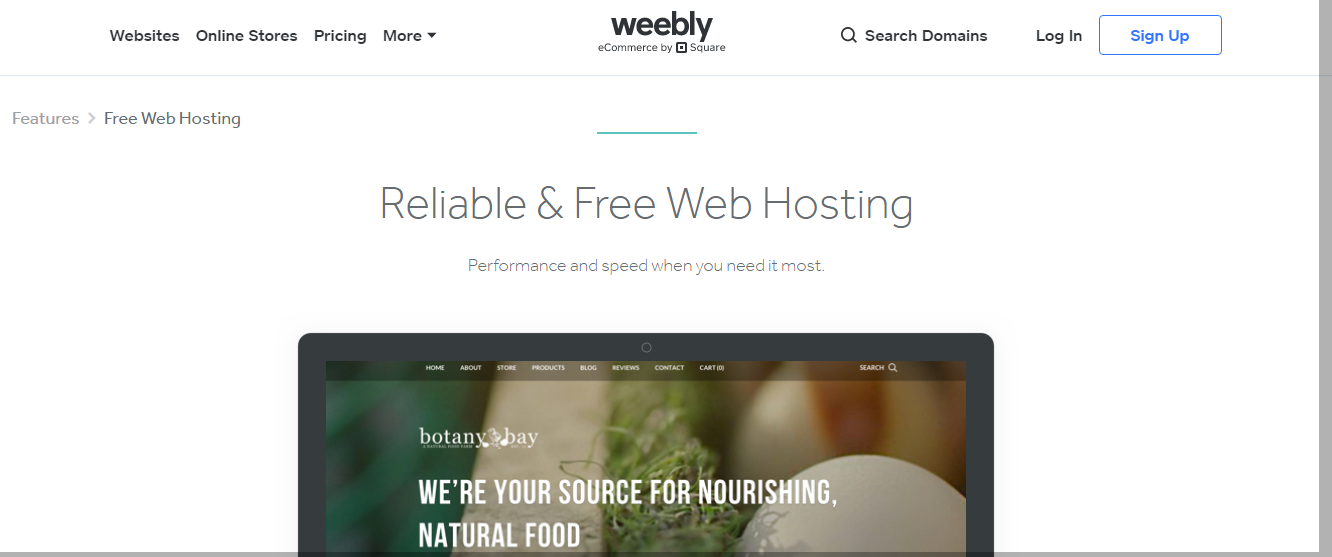 Weebly hosting 